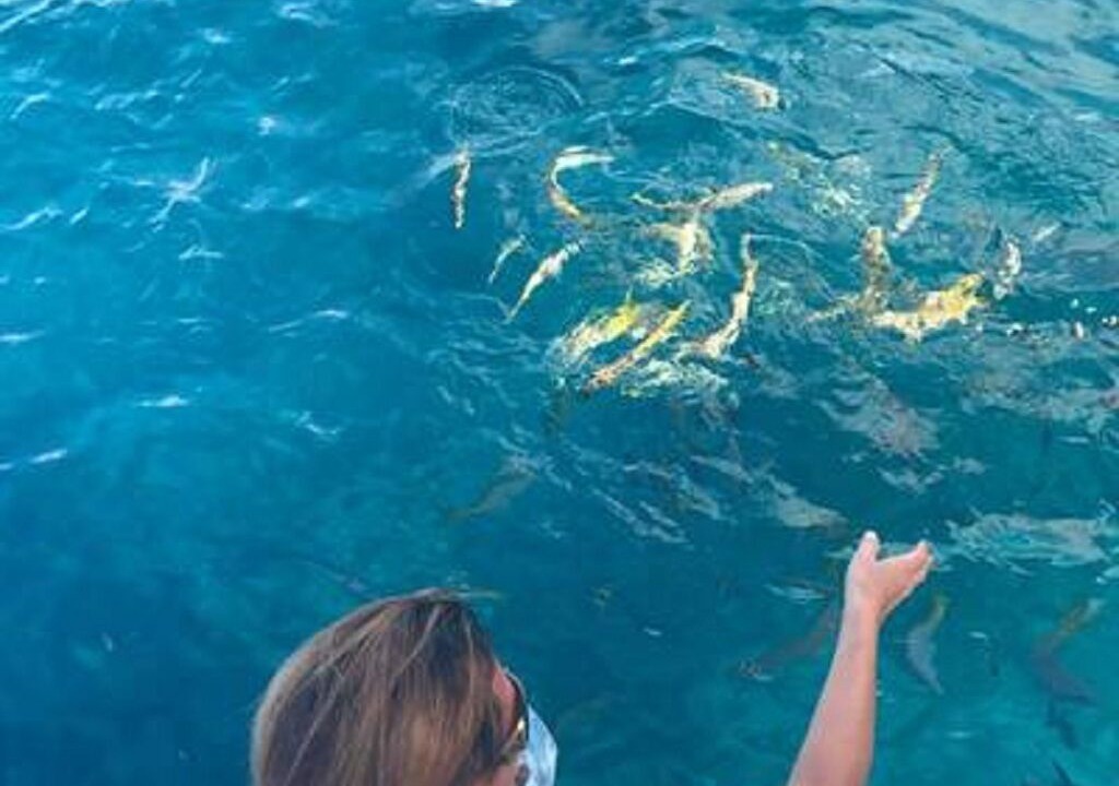 Photo of Outdoor in Charlotte Amalie