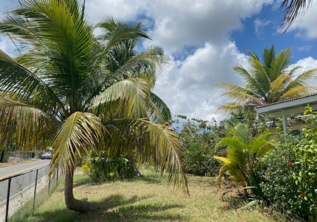 Photo of Others in Estate Saint George