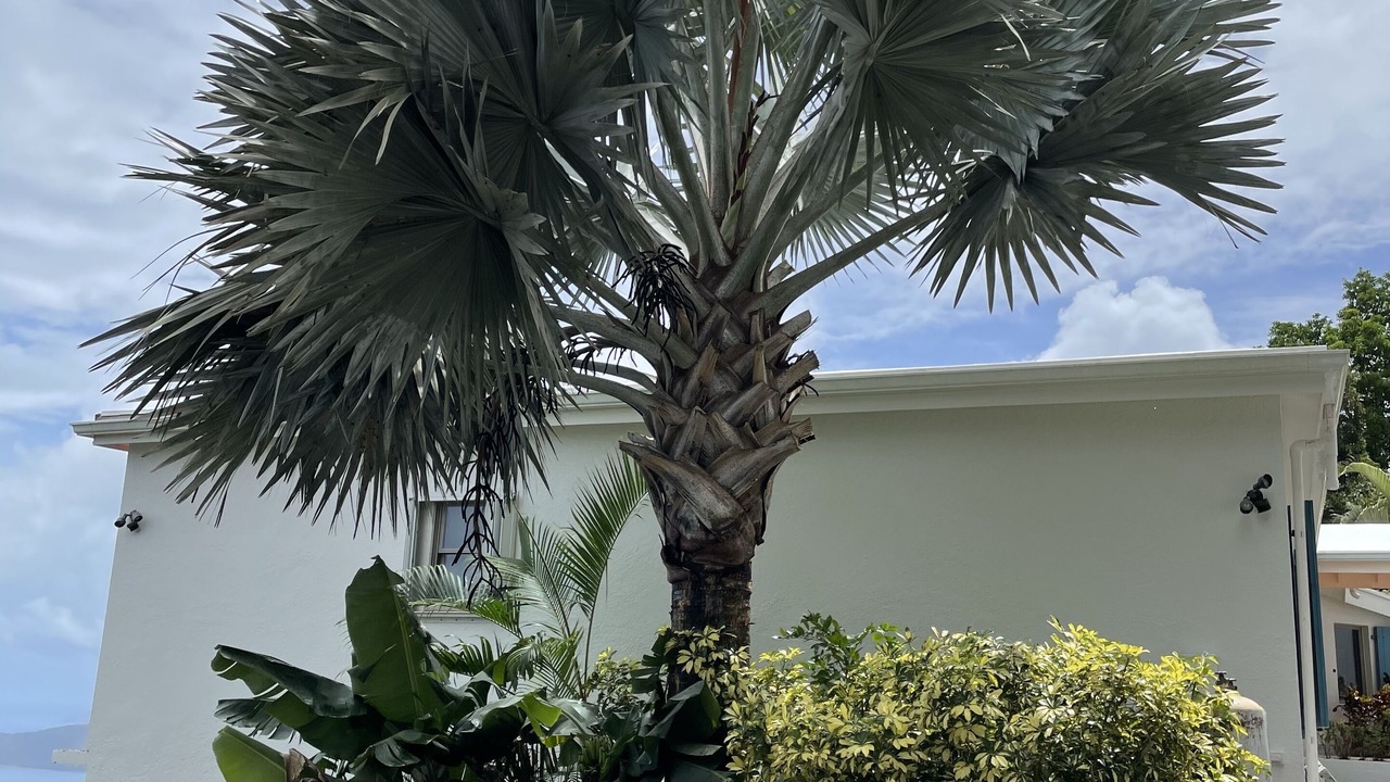 Photo of Outdoor in St. Thomas