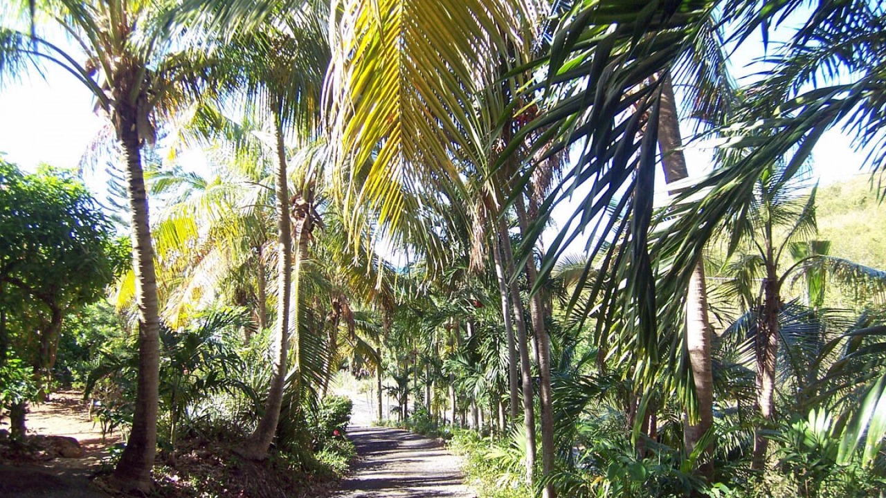 Photo of Outdoor in South Coast