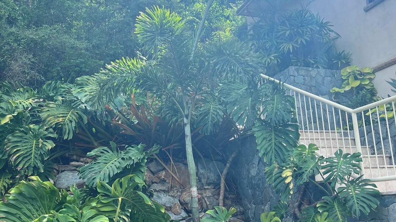 Photo of Outdoor in Skytop