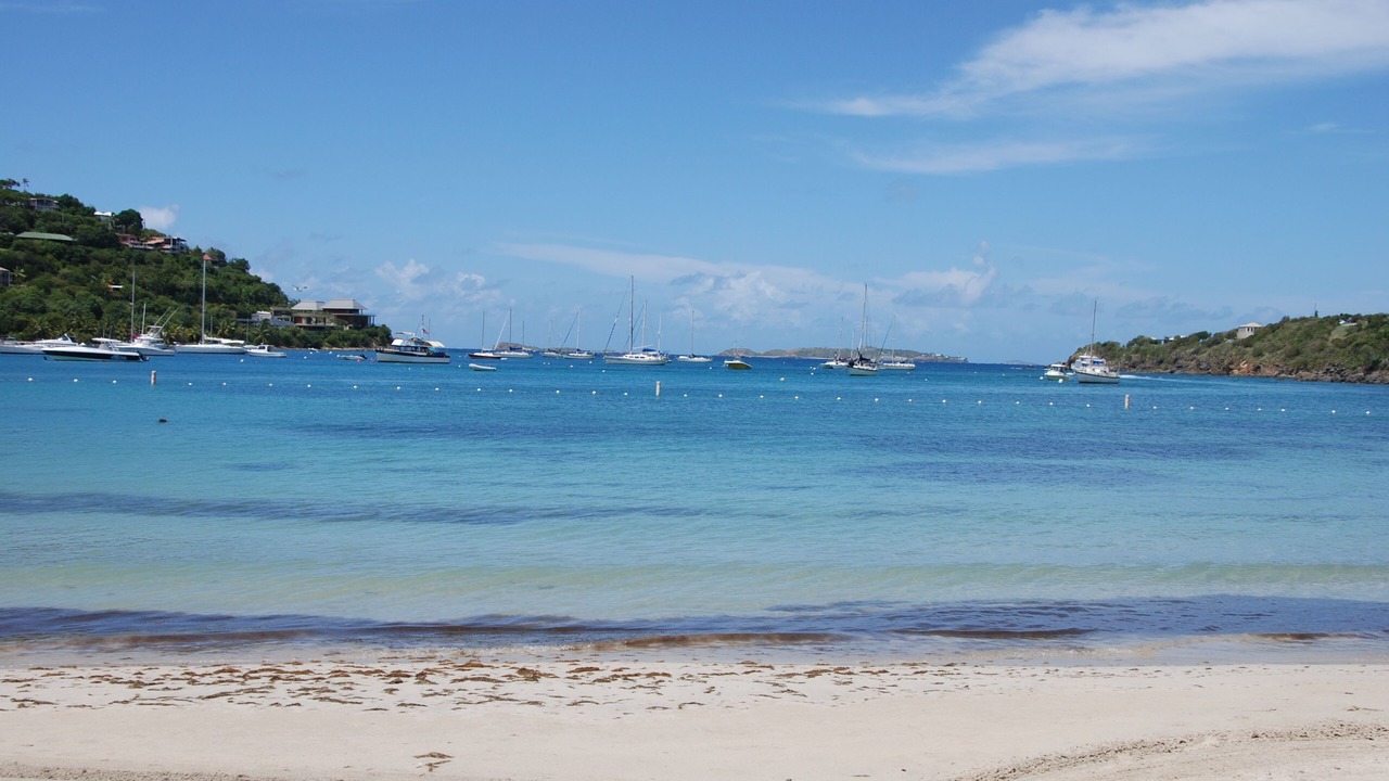 Photo of Others in Great Cruz Bay