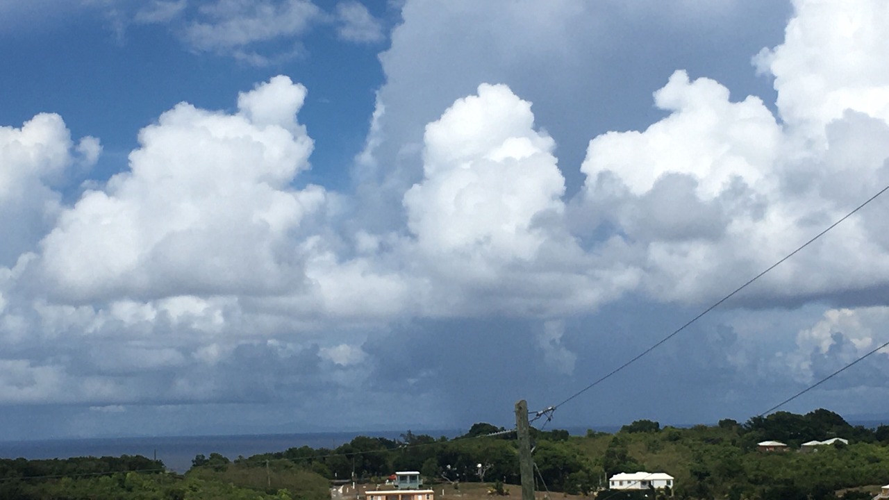 Photo of Others in Christiansted