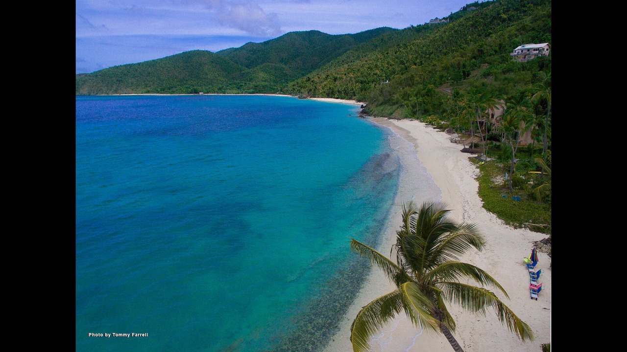 Photo of Others in Maho Bay Quarter