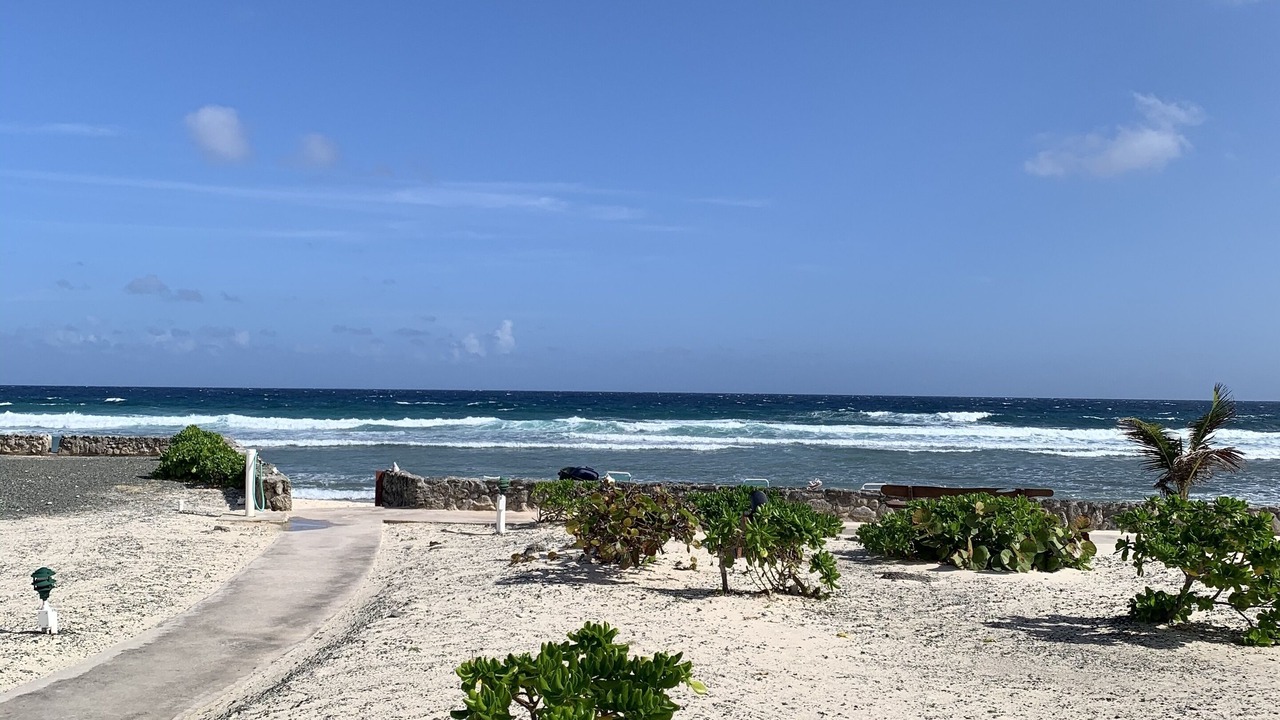Photo of Others in Christiansted