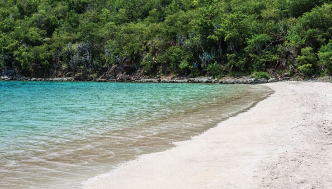 Photo of Others in Estate Chocolate Hole and Great Cruz Bay