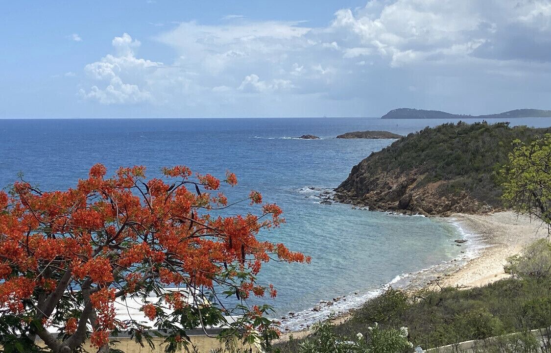 Photo of Others in Bolongo Bay