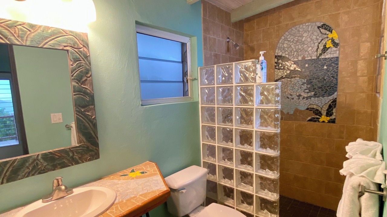 Photo of Bathroom in Estate Hansen Bay