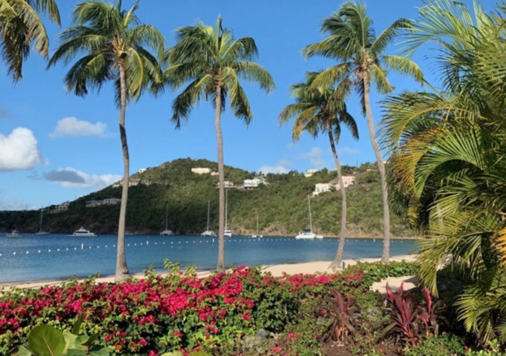 Photo of Others in Estate Chocolate Hole and Great Cruz Bay