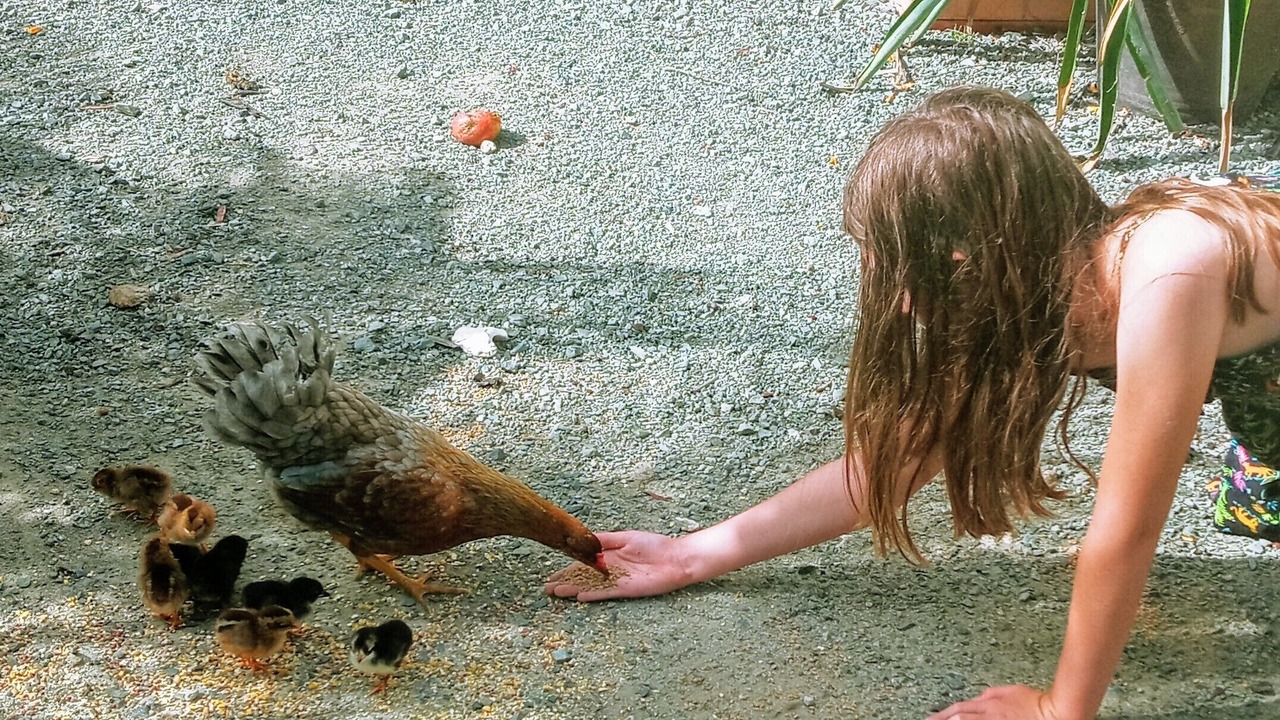 Photo of Others in La Grande Princesse