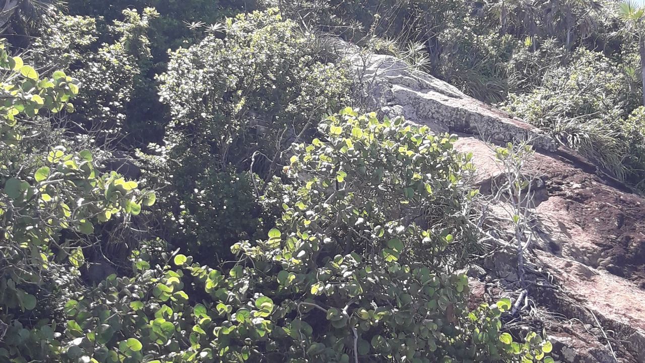 Photo of Outdoor in Estate Caret Bay