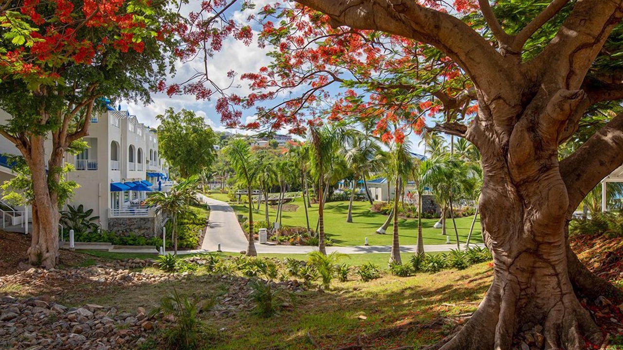 Photo of Outdoor in Estate Frenchman Bay