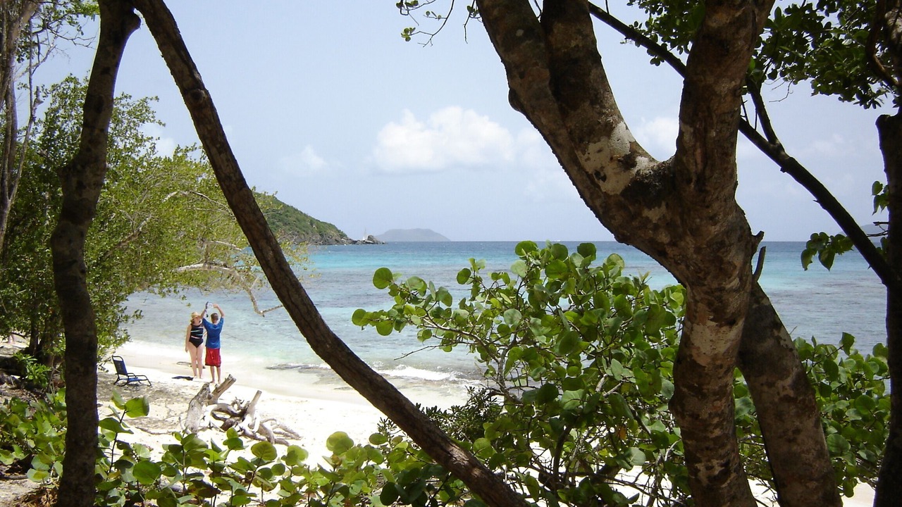 Photo of Others in Estate Chocolate Hole and Great Cruz Bay