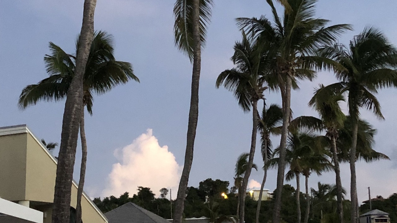 Photo of Outdoor in Estate Chocolate Hole and Great Cruz Bay