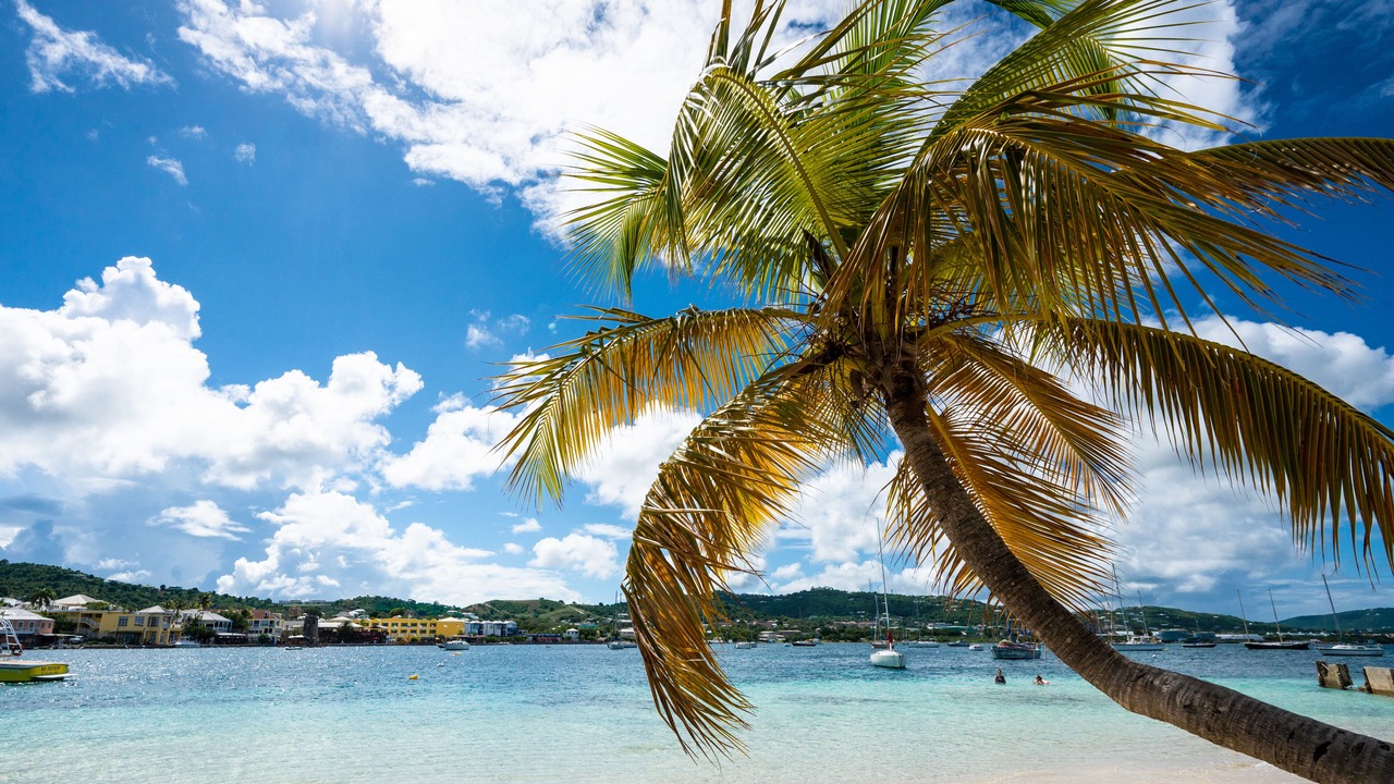 Photo of Others in Christiansted