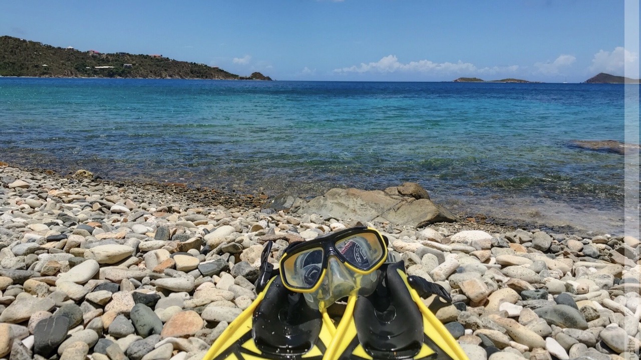 Photo of Others in Johnson Bay