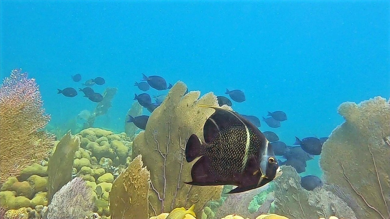 Photo of Others in Johnson Bay