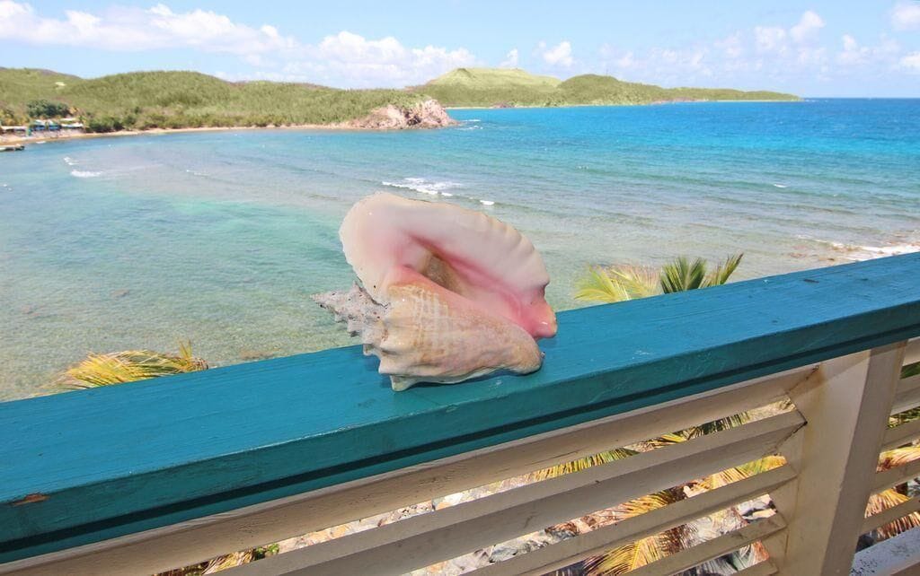 Photo of Others in Bolongo Bay