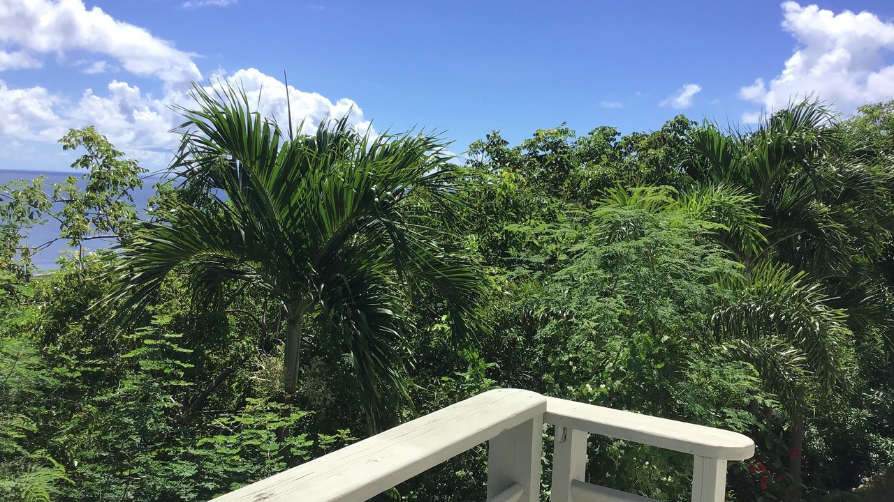 Photo of Outdoor in Estate Eastern Water Island