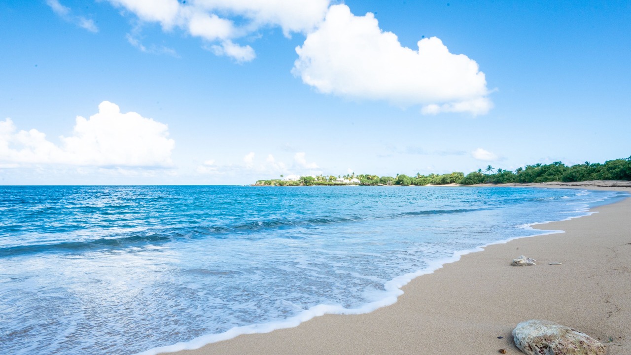 Photo of Others in Christiansted