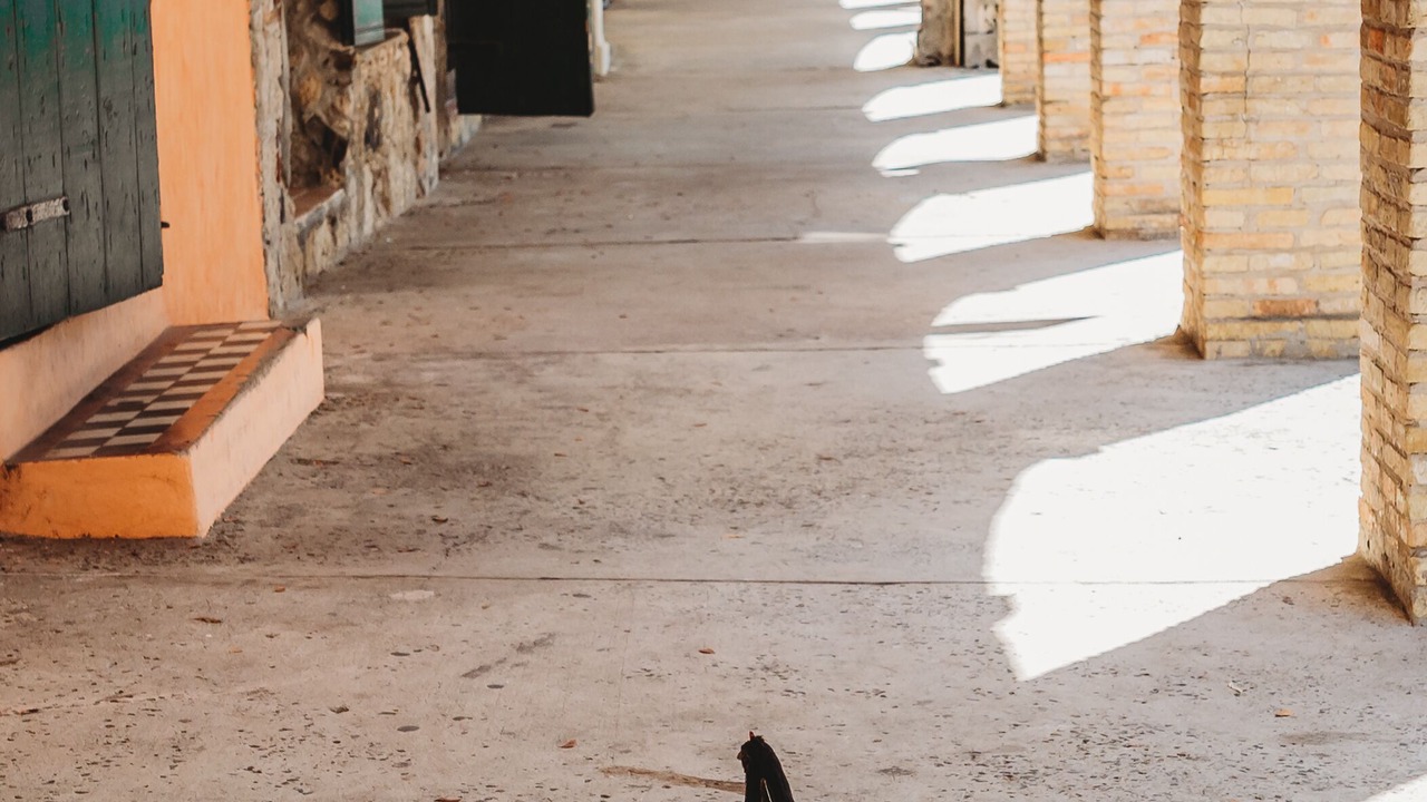 Photo of Others in Christiansted