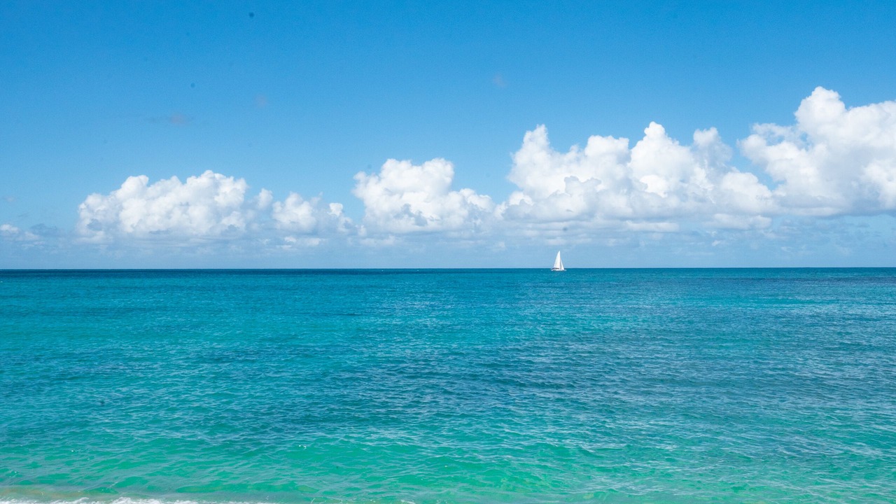Photo of Others in Christiansted