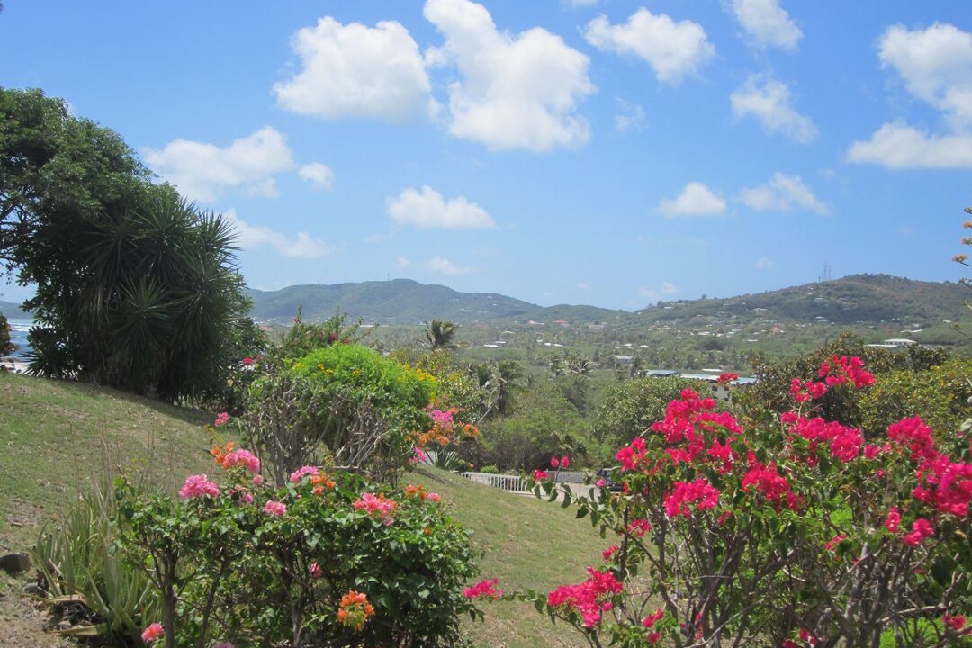 Photo of Others in Christiansted
