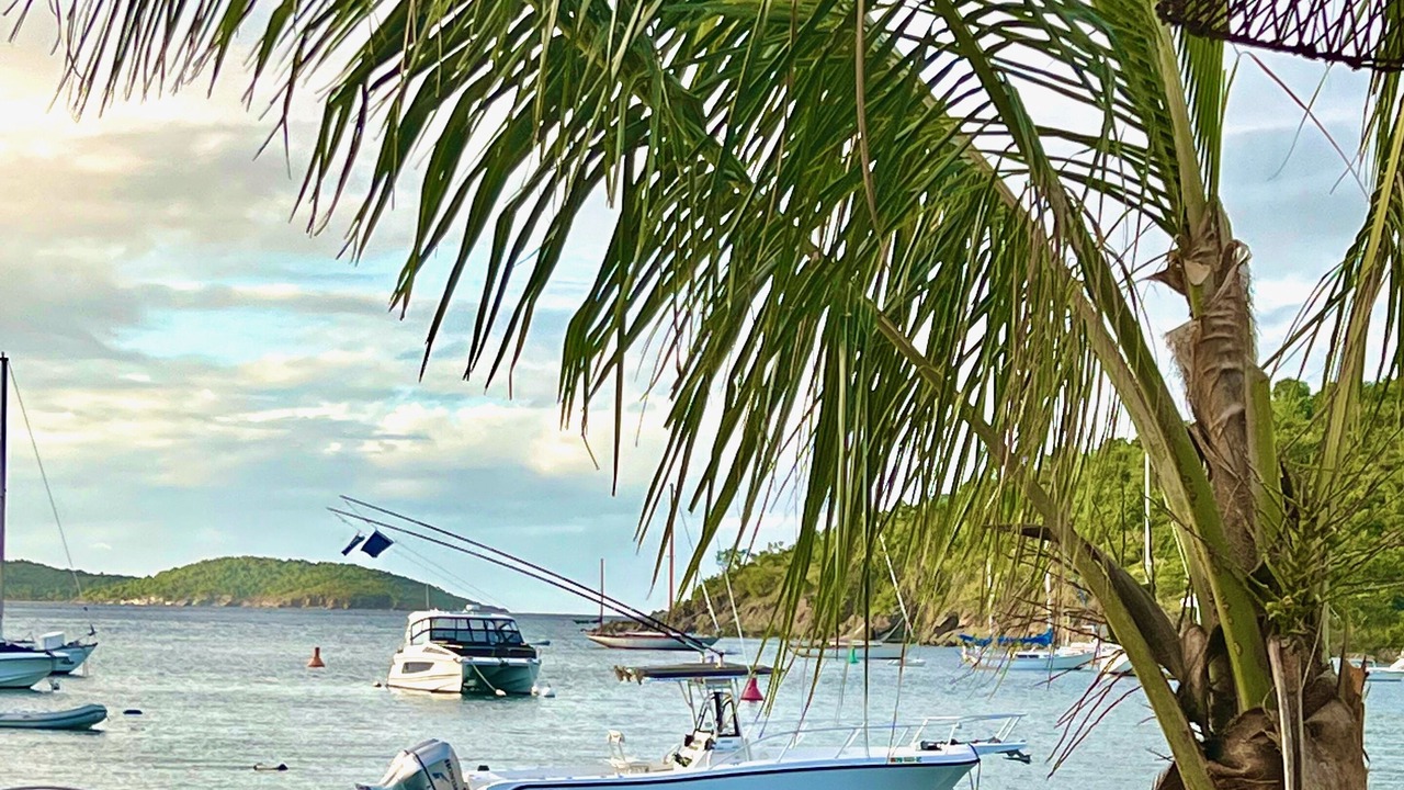 Photo of Others in Great Cruz Bay