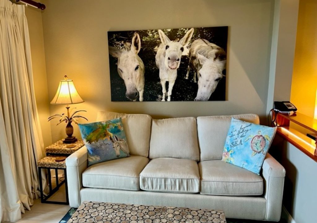 Photo of Livingroom in Great Cruz Bay
