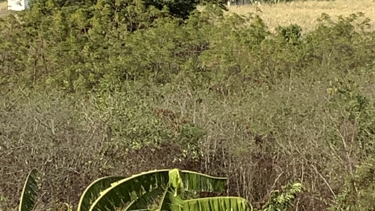 Photo of Outdoor in Estate Prosperity West
