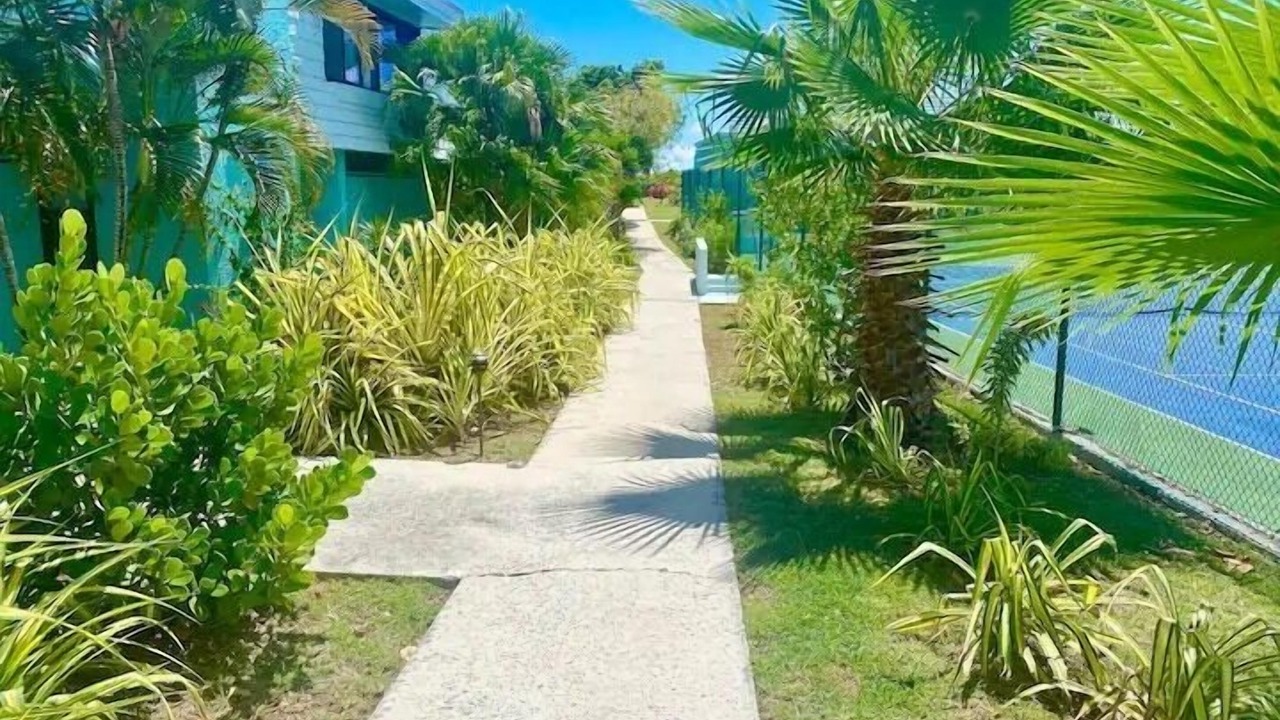 Photo of Outdoor in Bolongo Bay