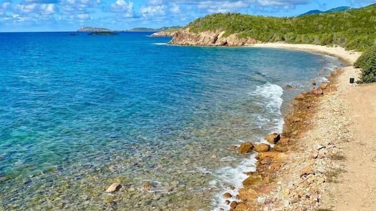 Photo of Others in Bolongo Bay