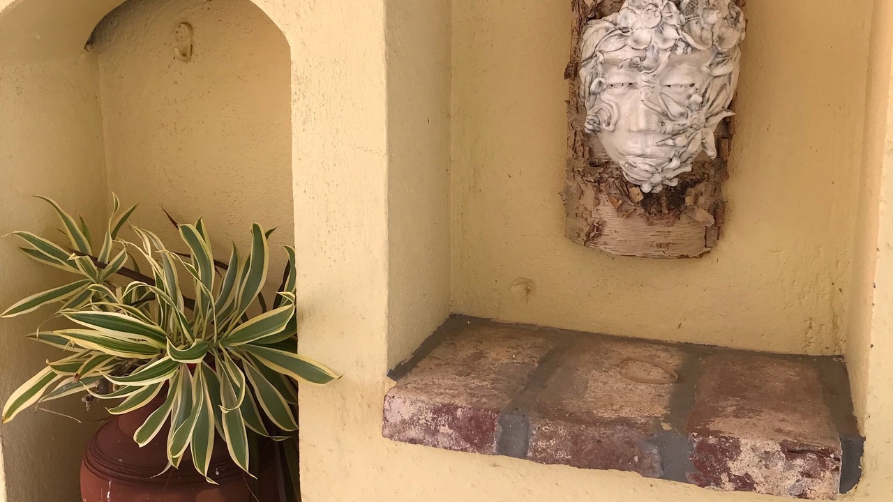 Photo of Outdoor in Estate Bethany