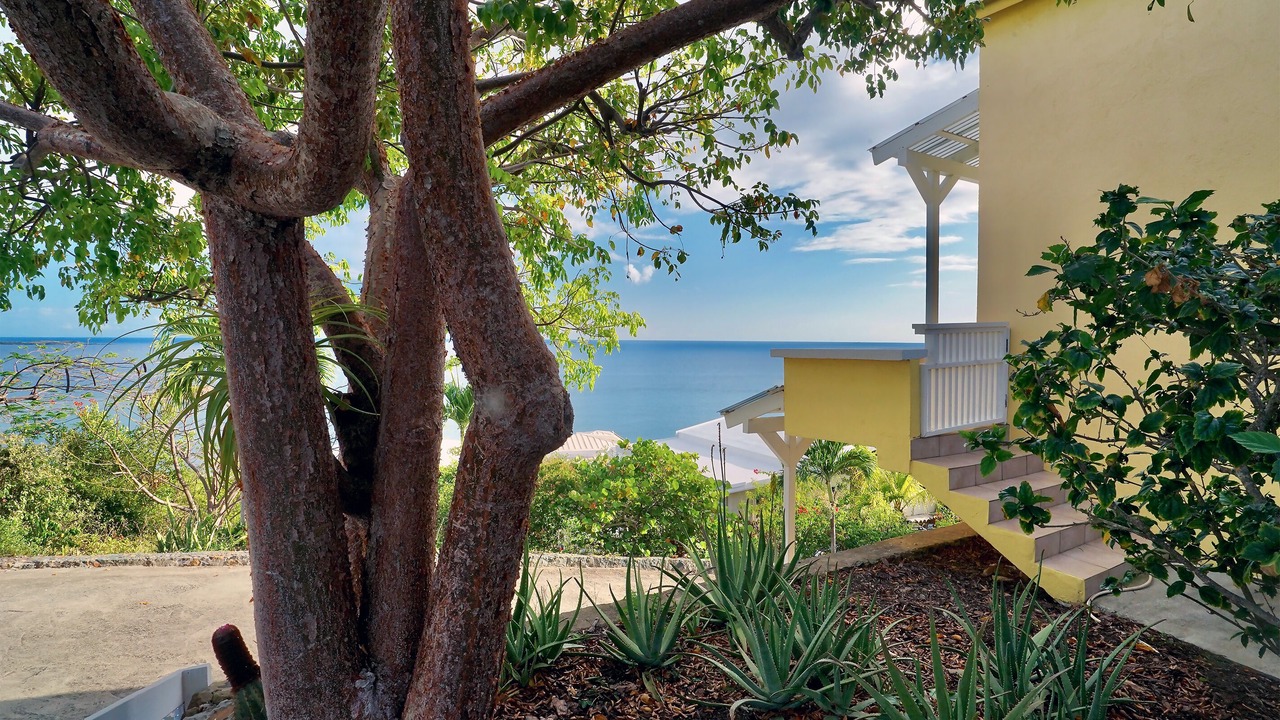 Photo of Outdoor in Estate Frenchman Bay