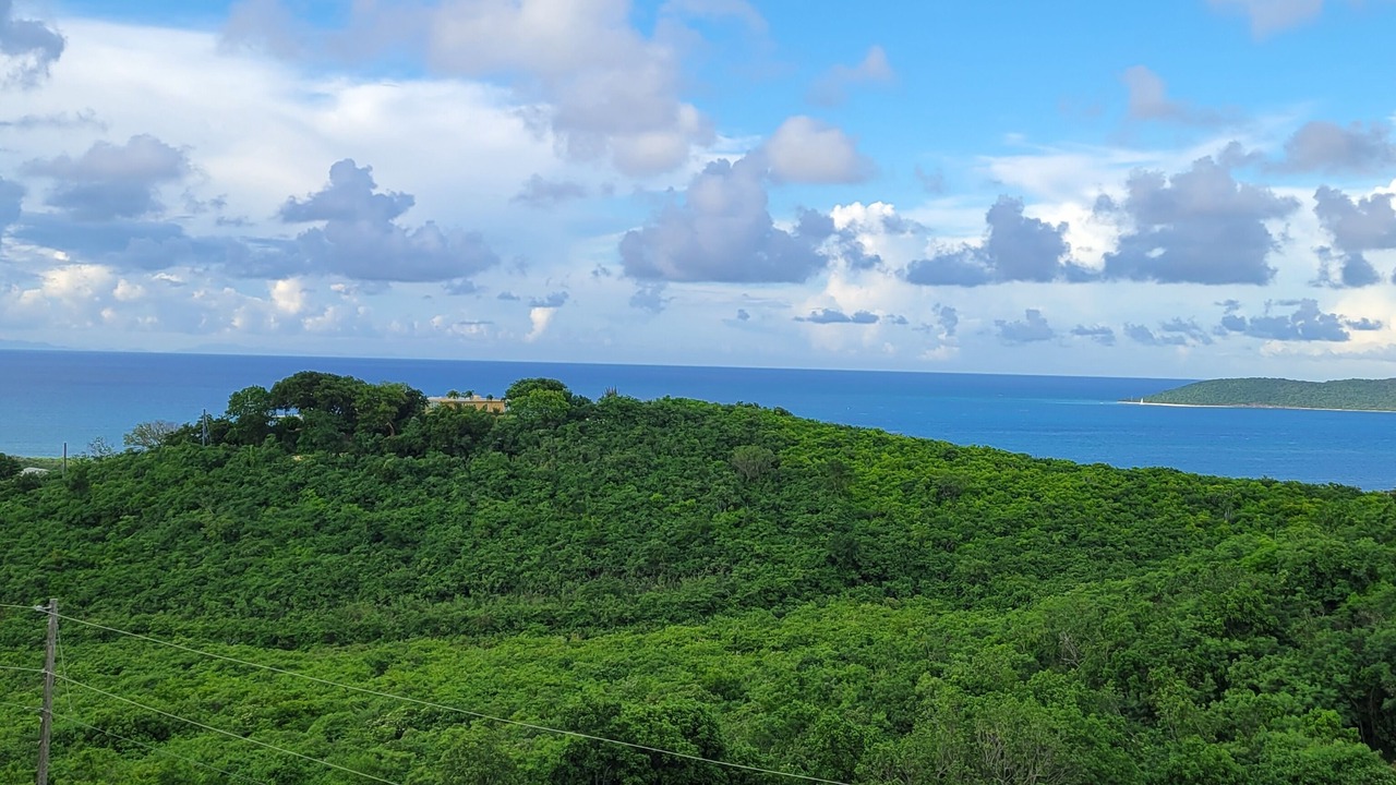 Photo of Others in Estate Green Cay