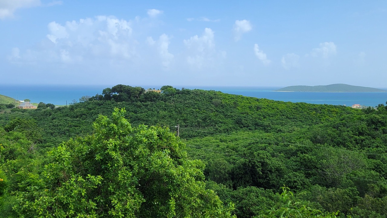 Photo of Others in Estate Green Cay