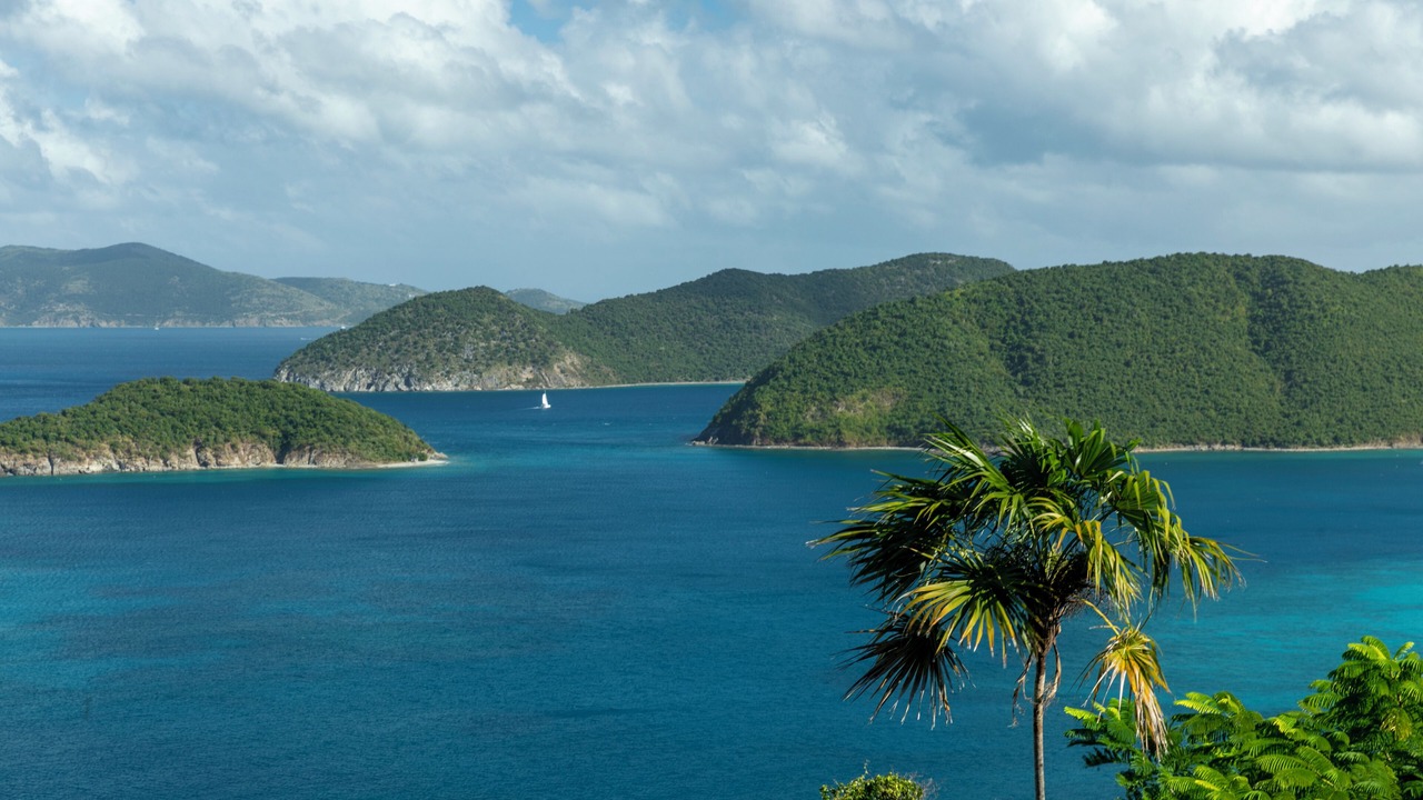 Photo of Others in Maho Bay Quarter