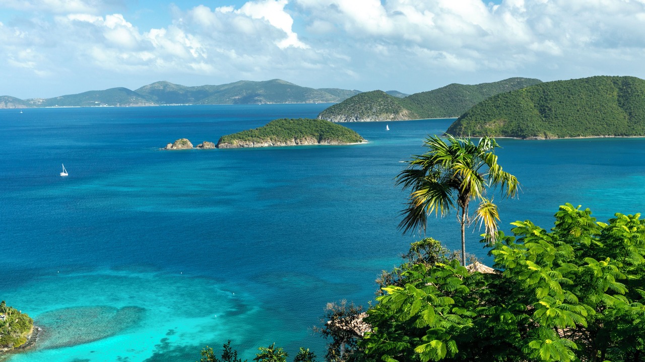 Photo of Others in Maho Bay Quarter