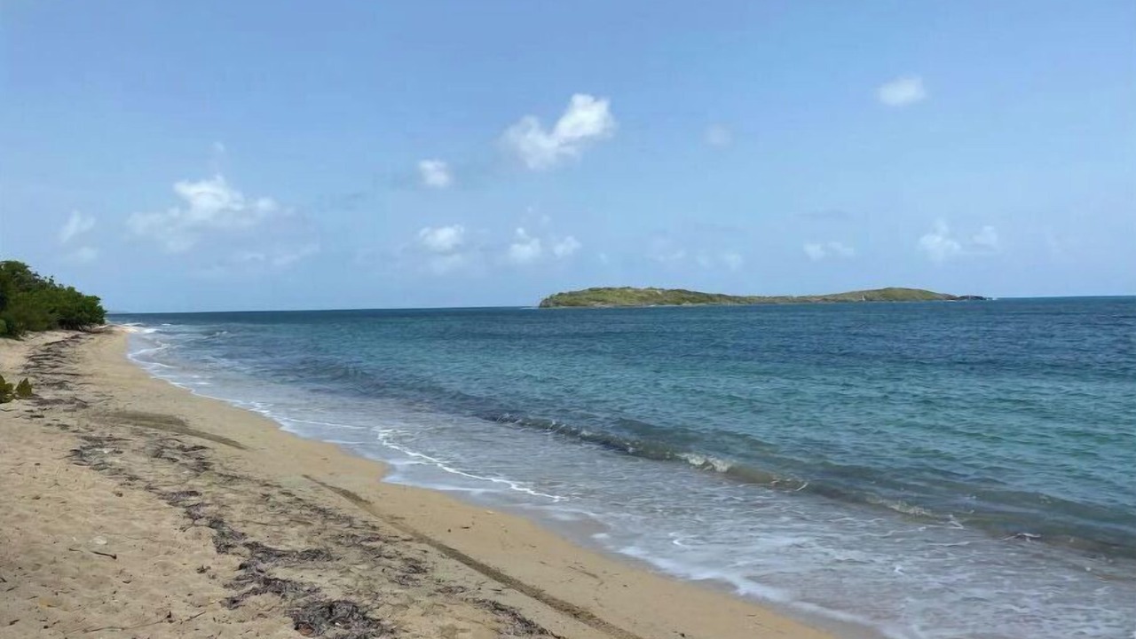 Photo of Others in Chenay Bay