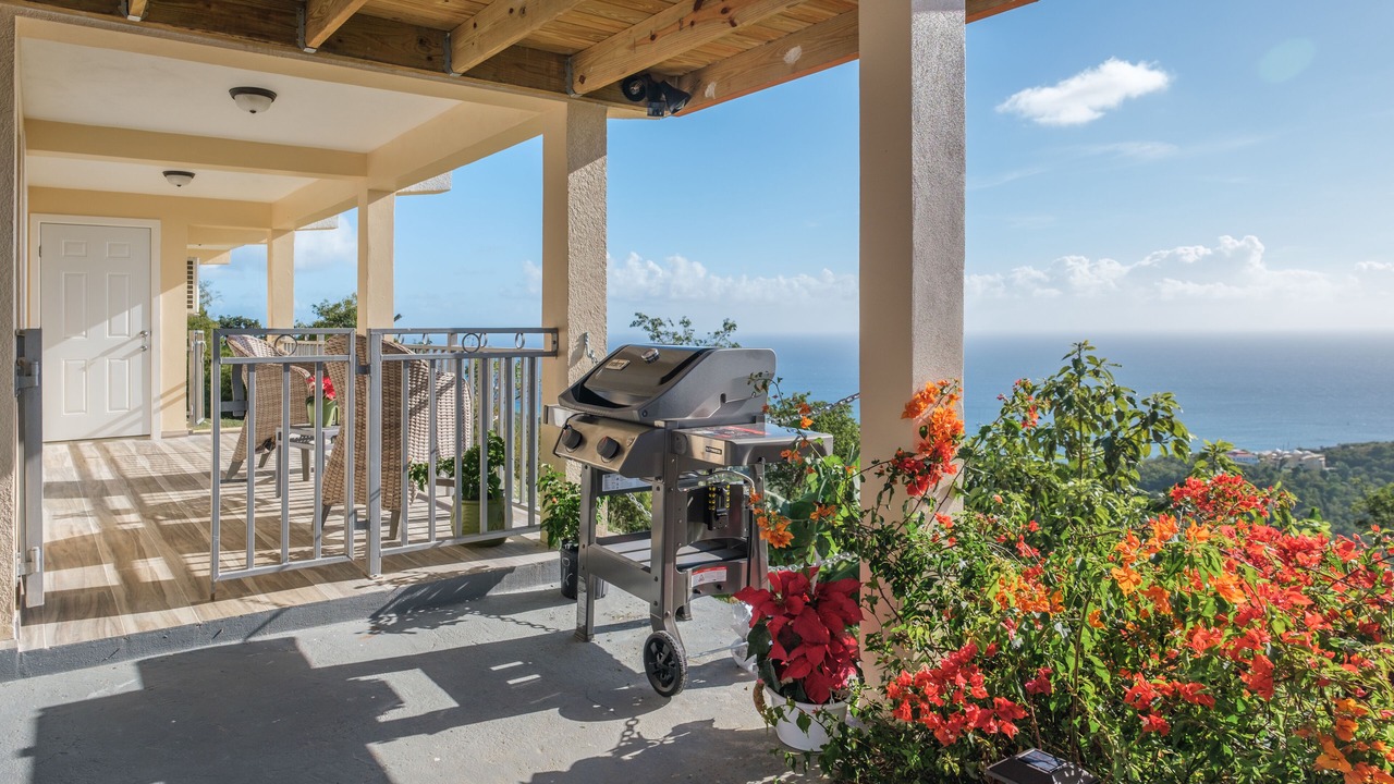 Photo of Patio Balcony in Flag Hill