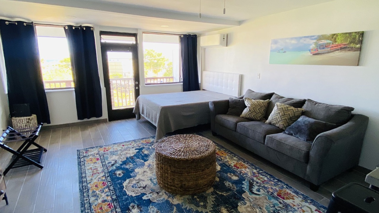 Photo of Livingroom in Red Hook