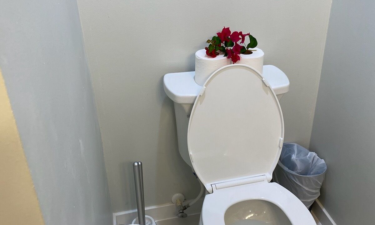 Photo of Bathroom in Estate Golden Rock