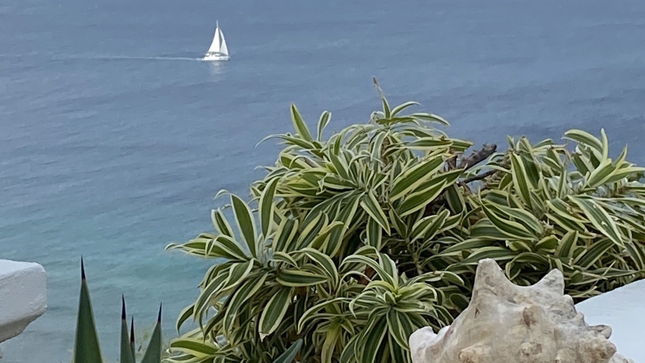 Photo of Others in Green Cay Plantation
