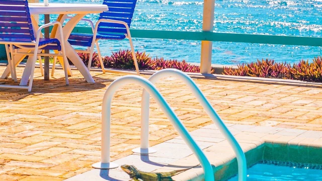Photo of Outdoor in Estate Bolongo