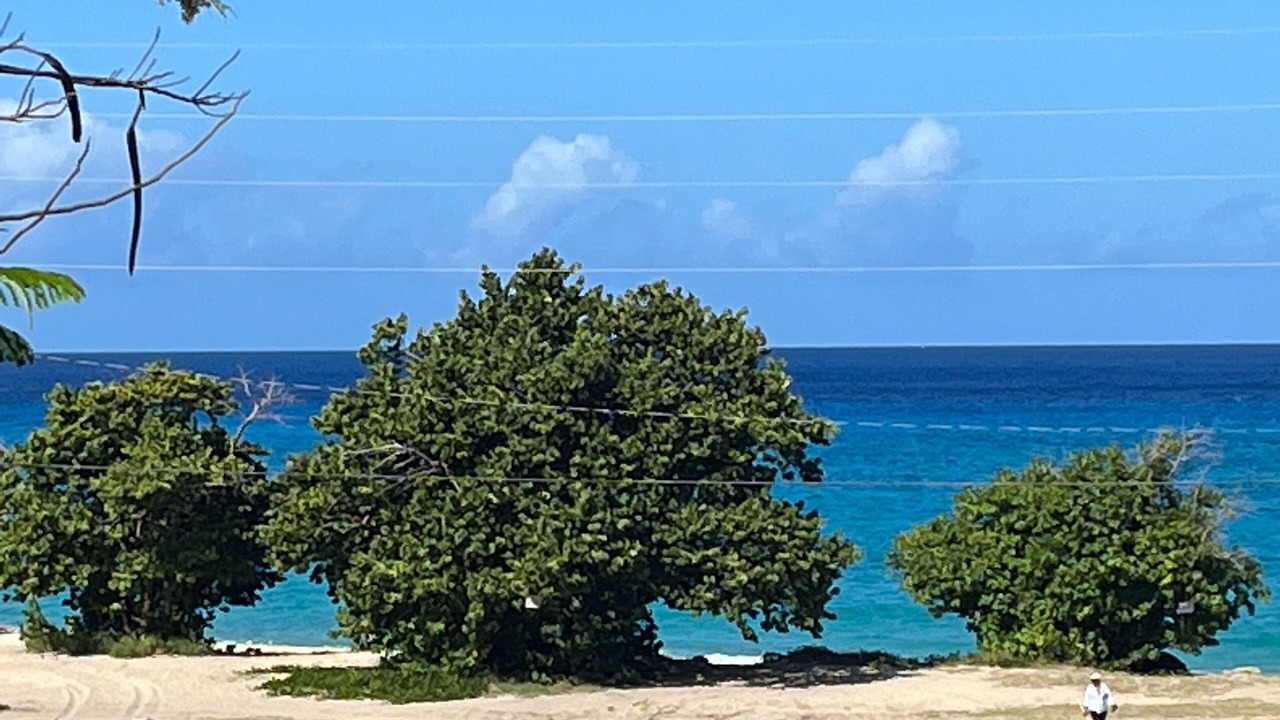 Photo of Others in Frederiksted Southeast