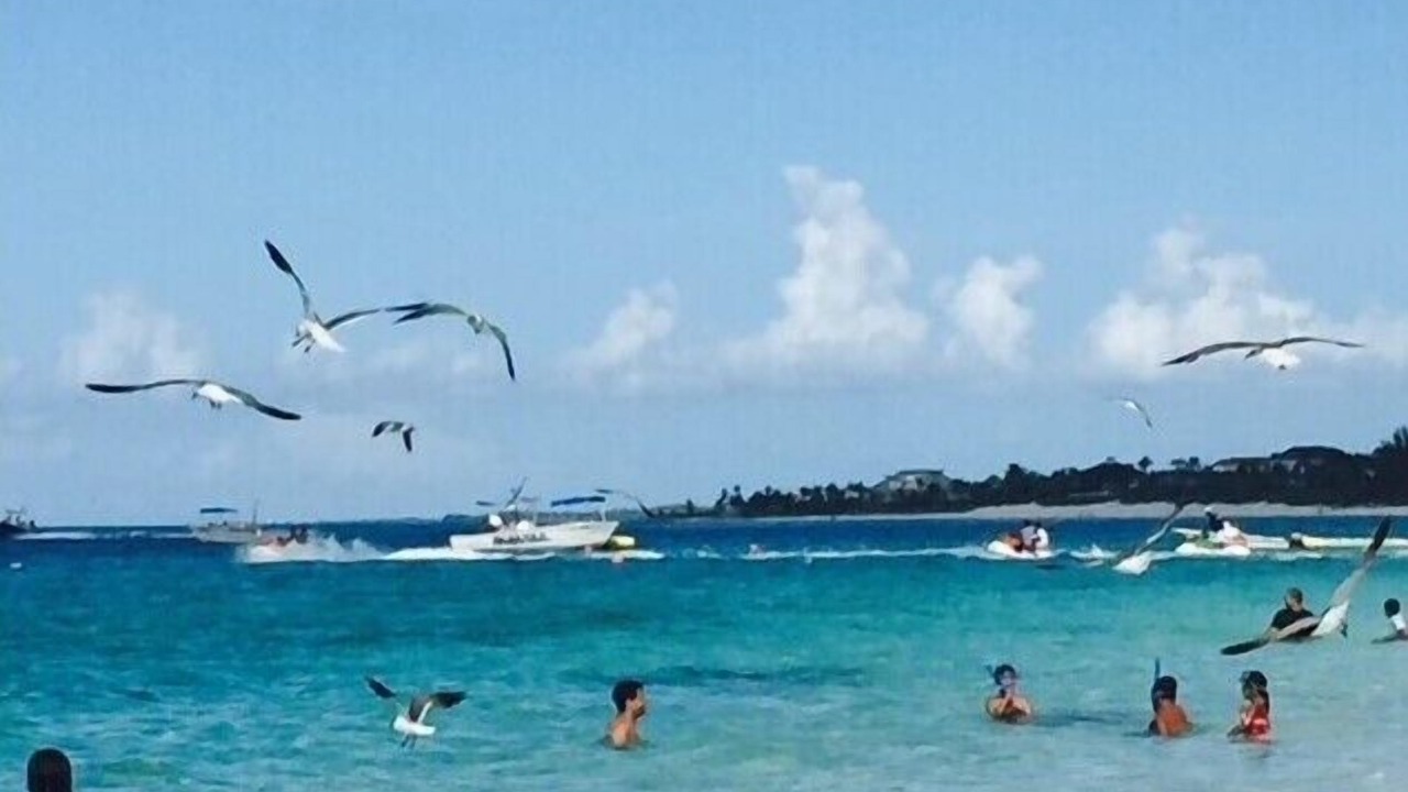 Photo of Others in Frederiksted Southeast