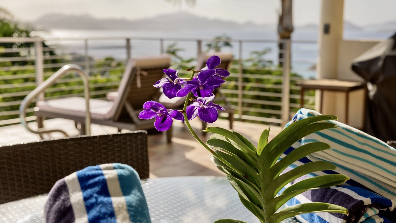 Photo of Patio Balcony in Estate Enighed
