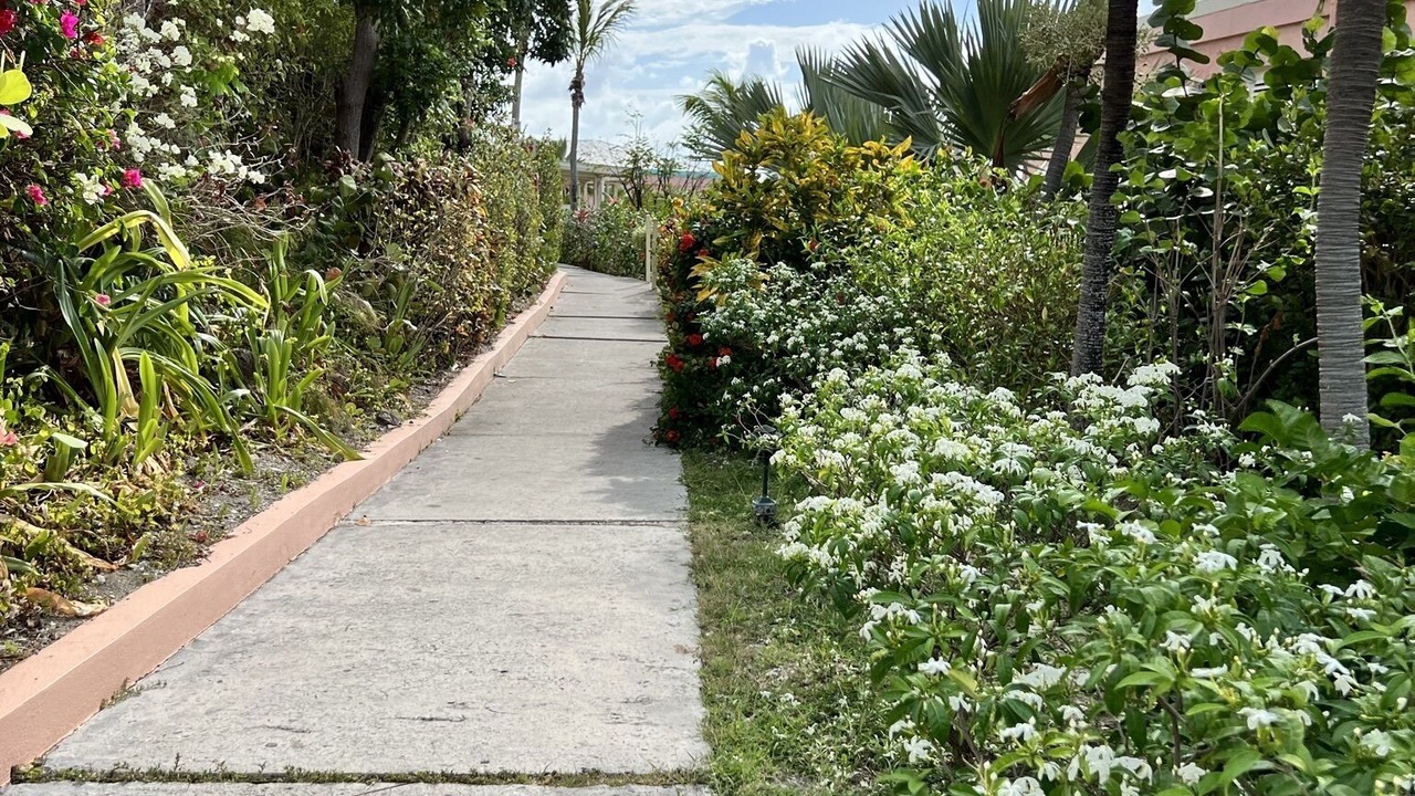 Photo of Outdoor in Cotton Valley