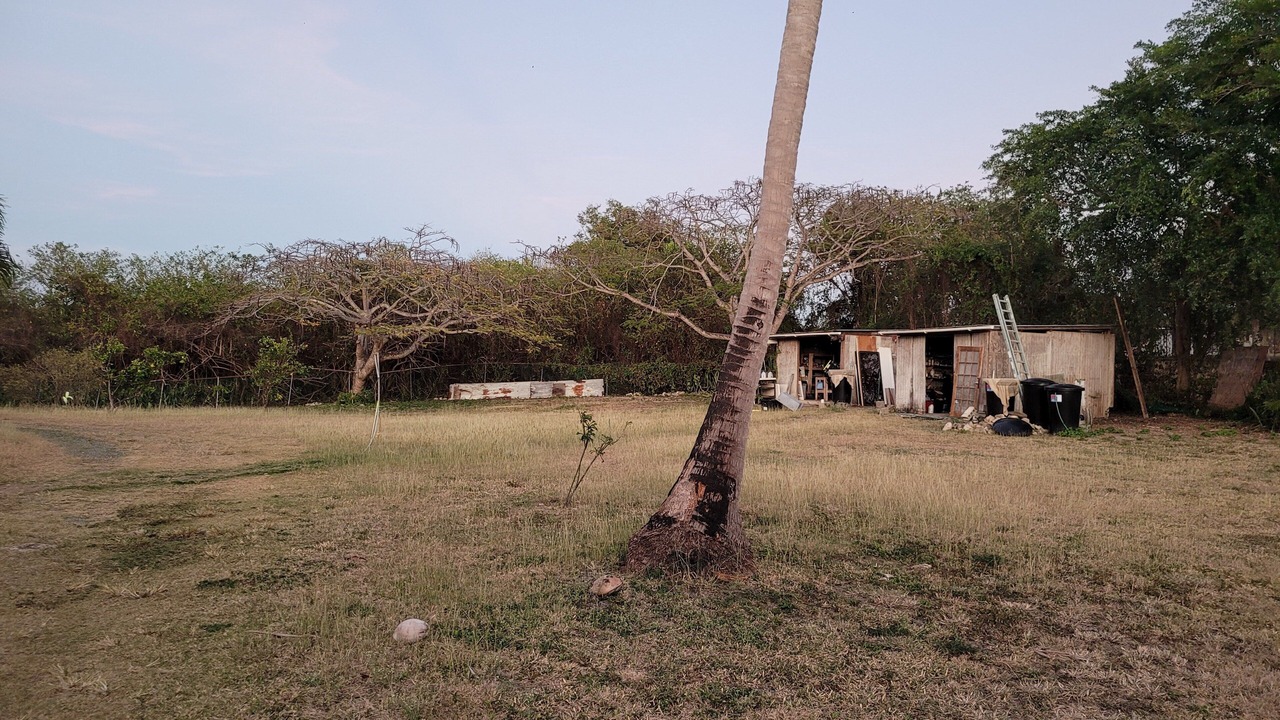 Photo of Outdoor in Estate Montpellier East