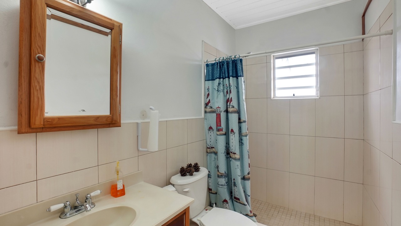 Photo of Bathroom in Estate Barren Spot 2